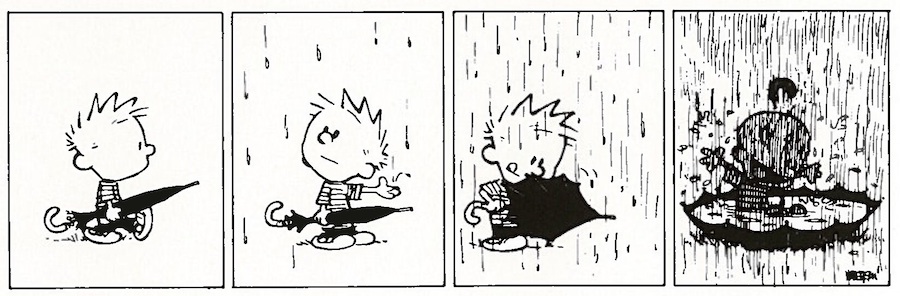 Calvin
                      & Hobbes_Rain